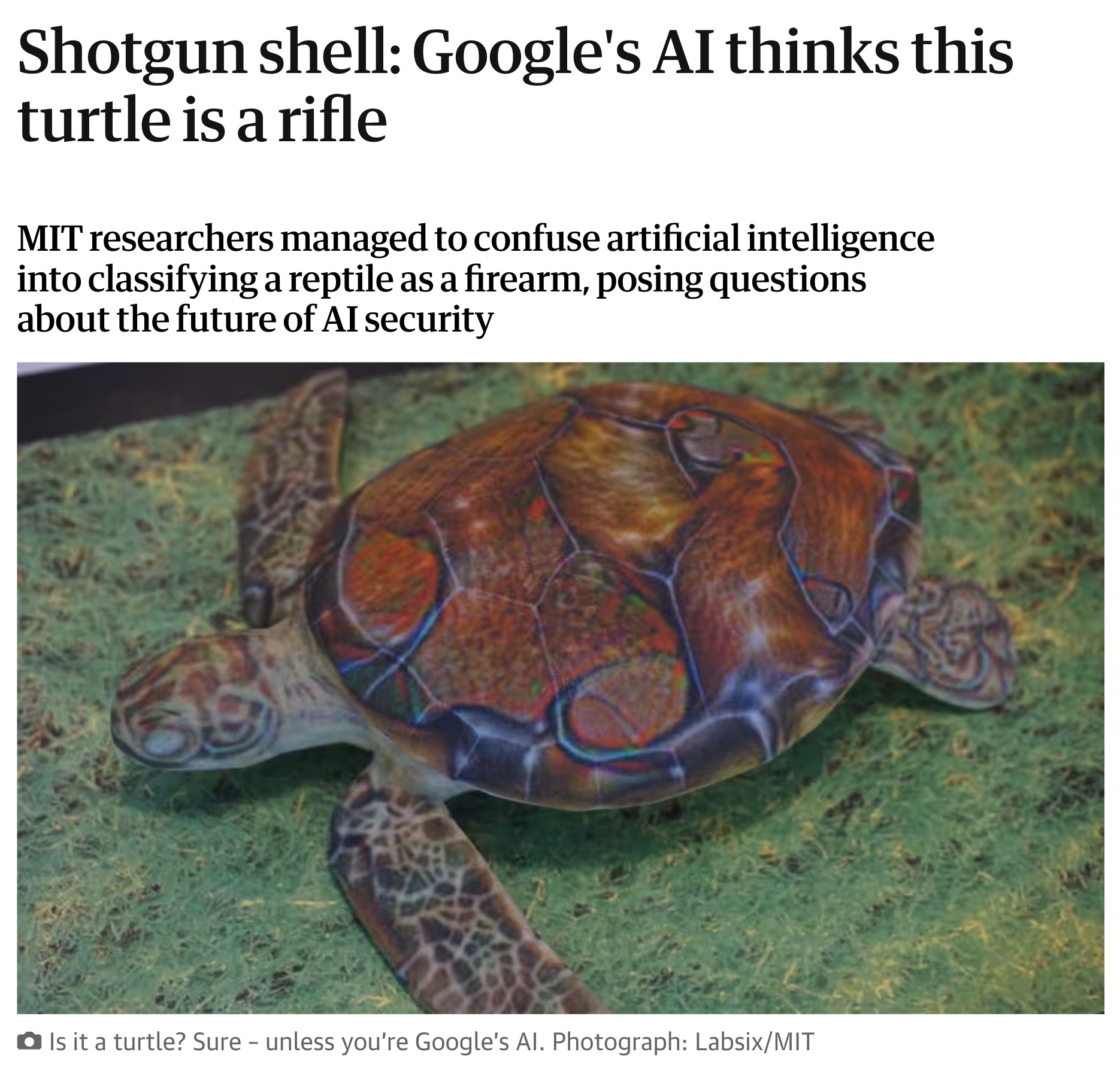 Adversarial Examples